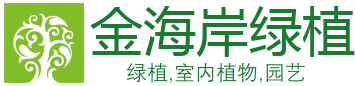 金海岸|2平台|注册-2SMT平台级通道