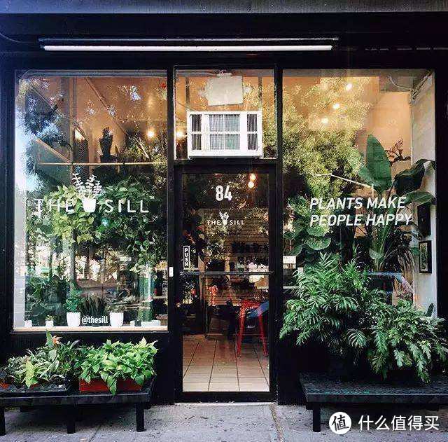 购买渠道避坑指南，附13家私藏植物淘宝店推荐！