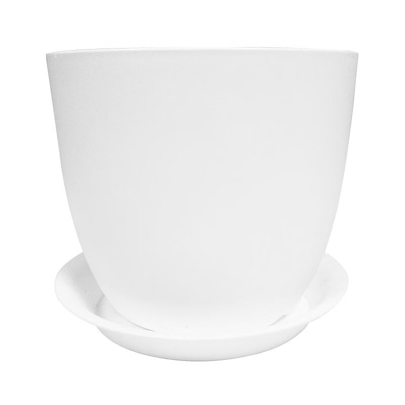 家庭绿植养护，这些东西少不了